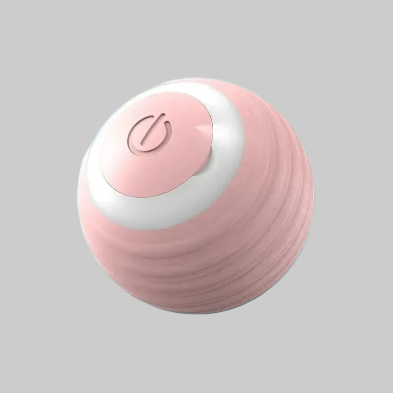 Interactive Small Dog Toy Ball