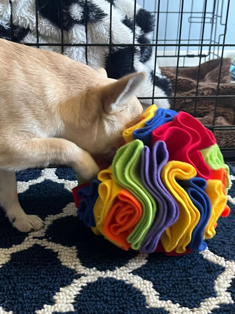 Pawrgy Sniff & Seek Ball™