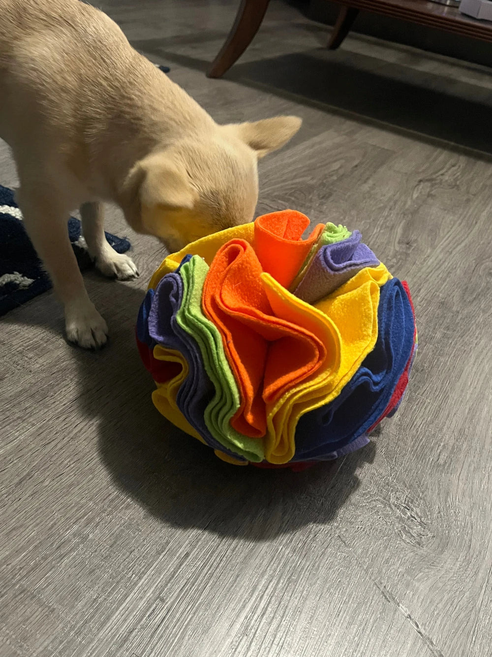 Pawrgy Sniff & Seek Ball™