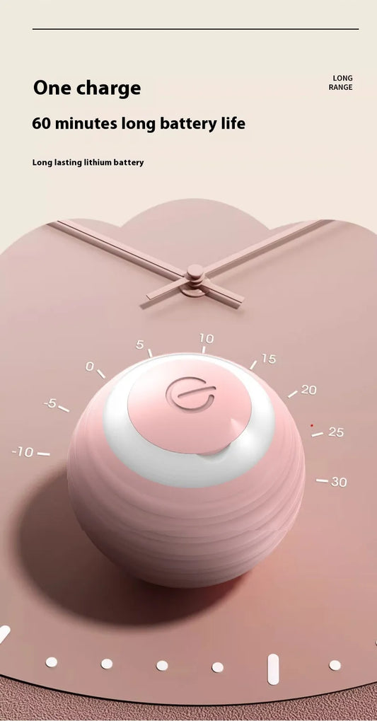 Interactive Small Dog Toy Ball