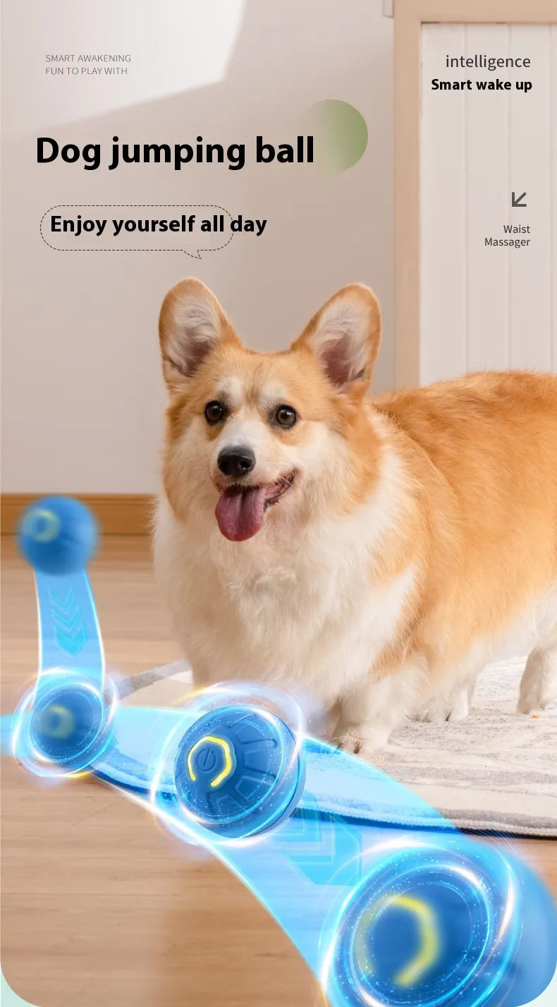 Interactive Small Dog Toy Ball