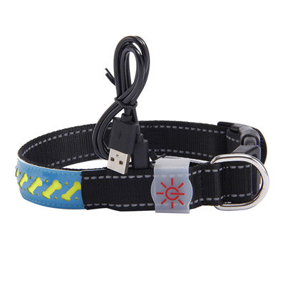 Pawrgy Safety Collar