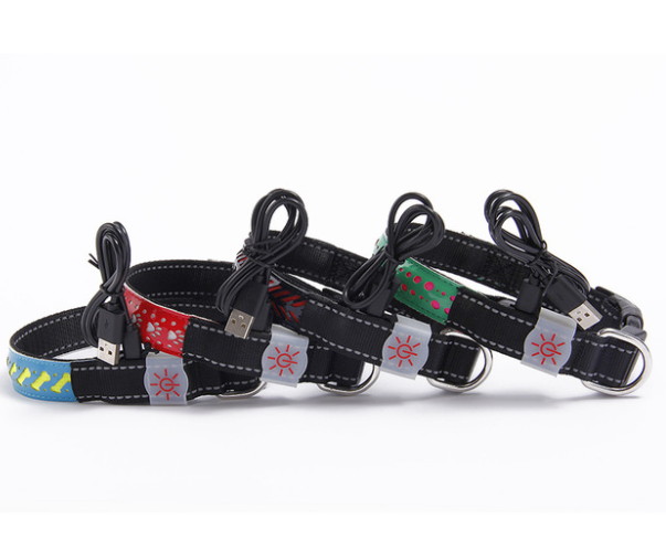 Pawrgy Safety Collar