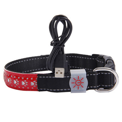 Pawrgy Safety Collar