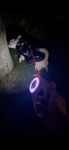 Pawrgy Ultra-Bright LED Leash™