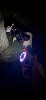 Pawrgy Ultra-Bright LED Leash™