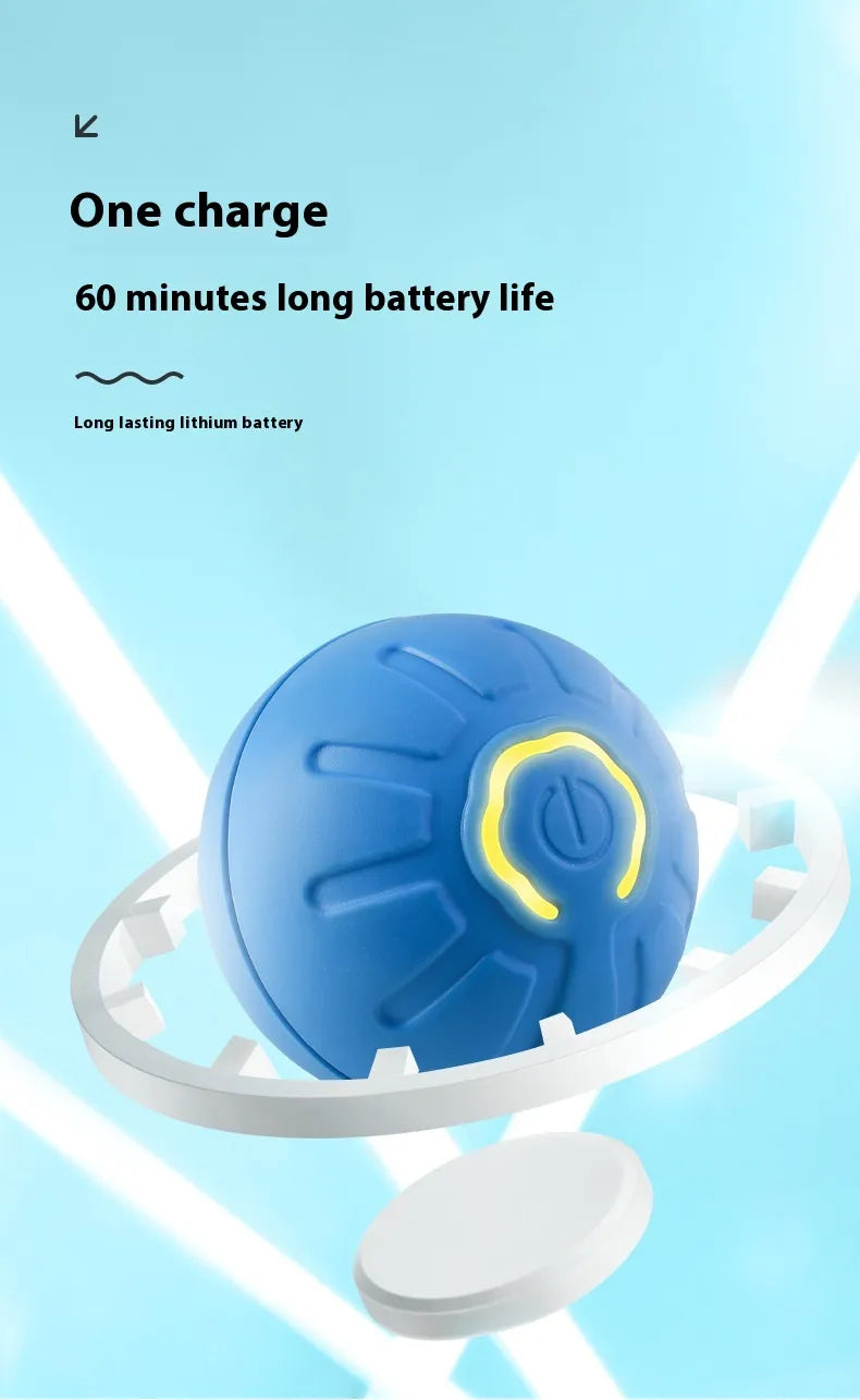 Interactive Small Dog Toy Ball