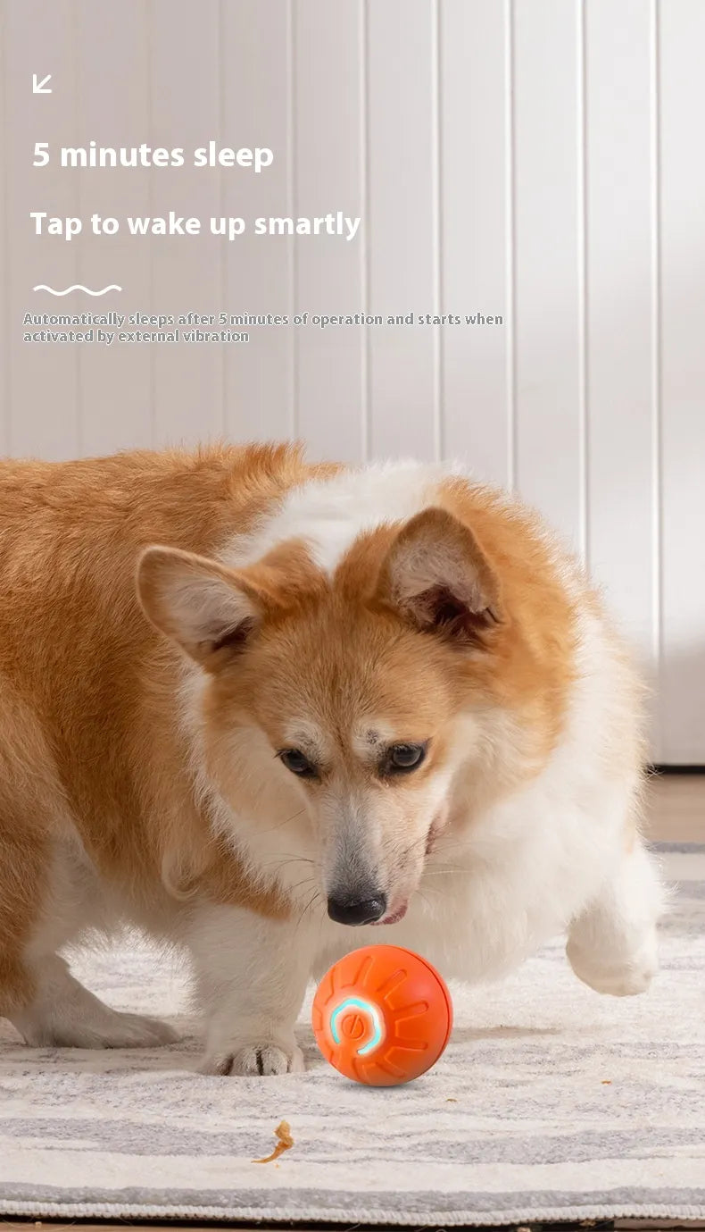 Interactive Small Dog Toy Ball