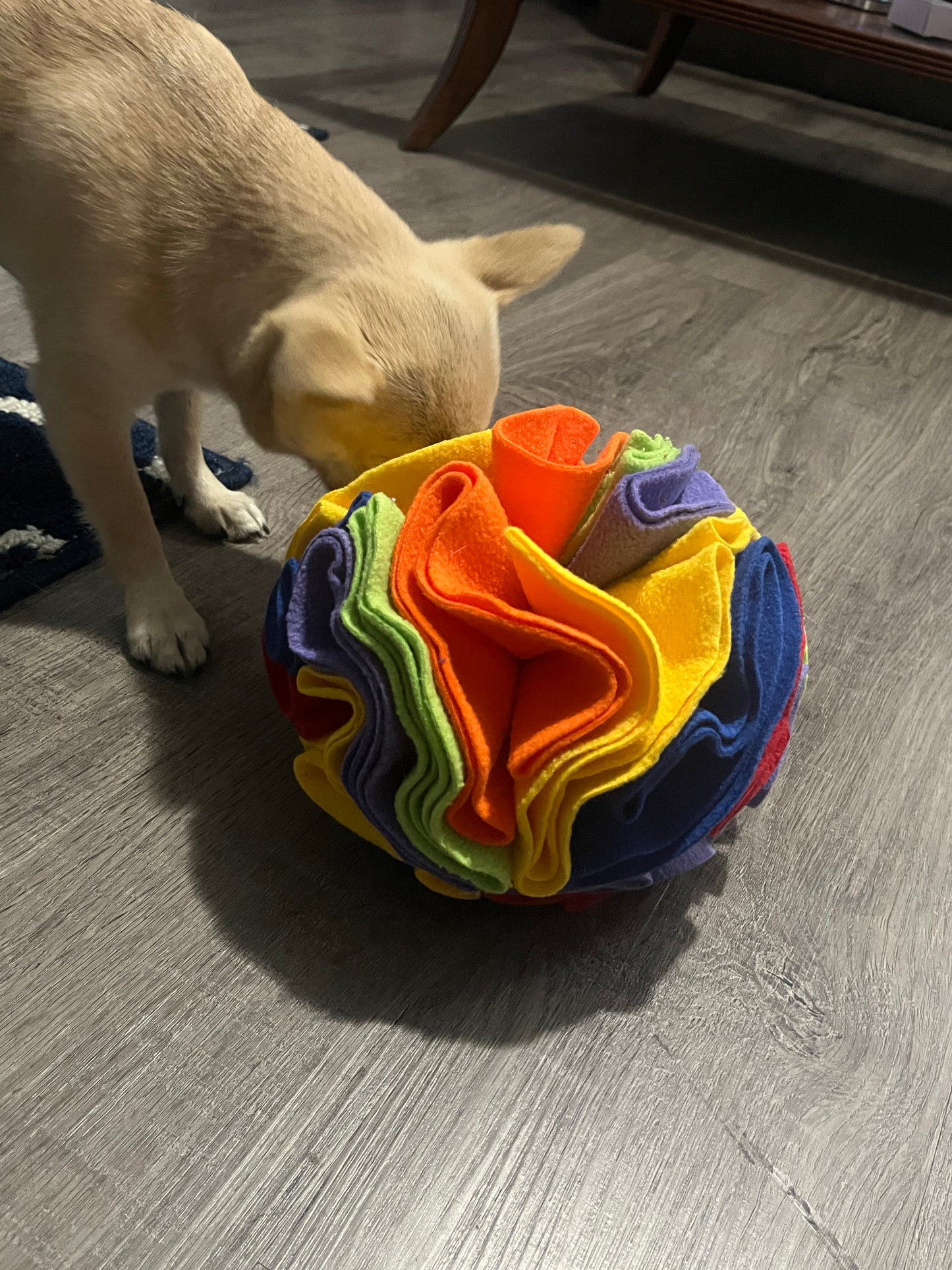 Pawrgy Sniff & Seek Ball™