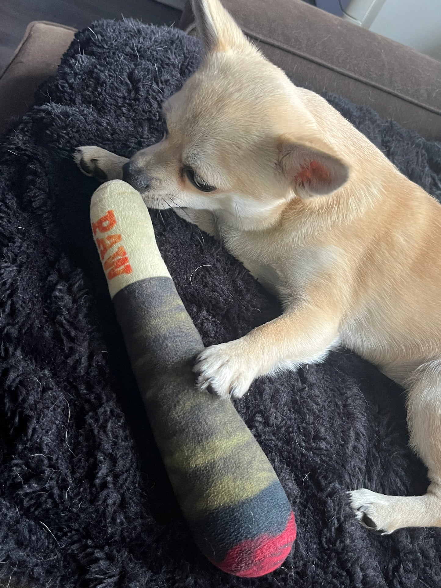 Pawrgy Paw Squeaky™