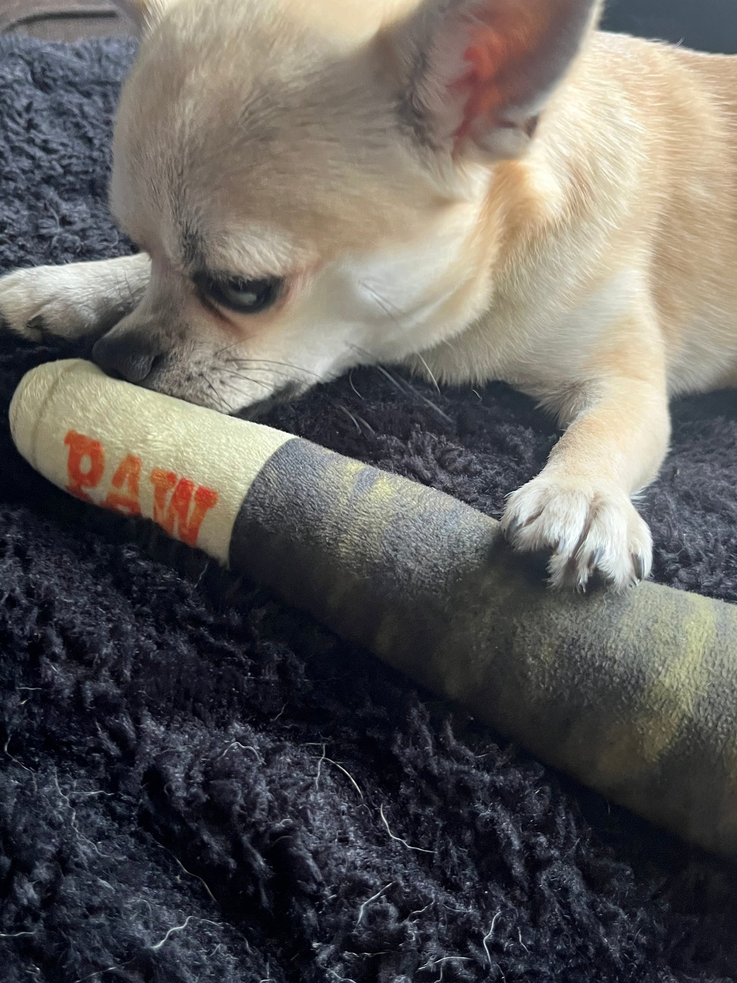 Pawrgy Paw Squeaky™