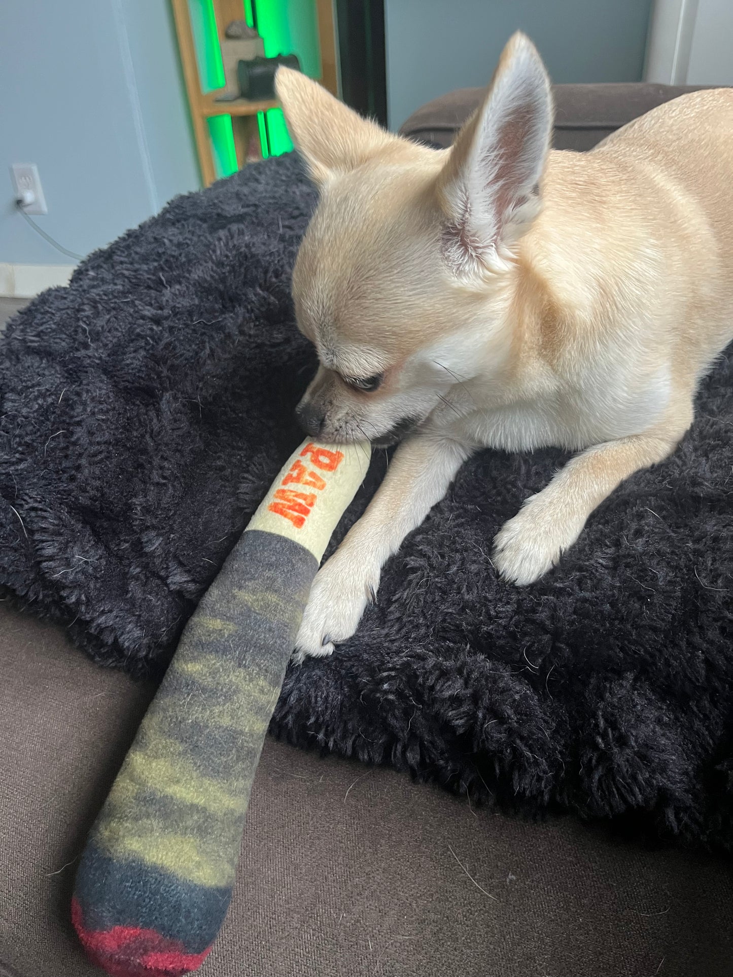 Pawrgy Paw Squeaky™