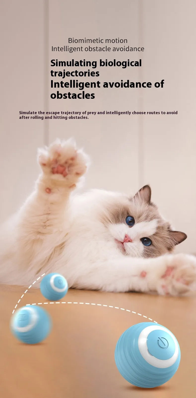 Interactive Small Dog Toy Ball