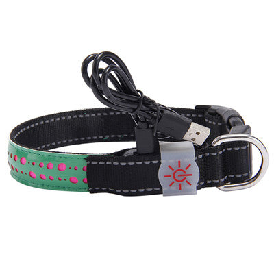 Pawrgy Safety Collar