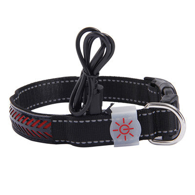 Pawrgy Safety Collar