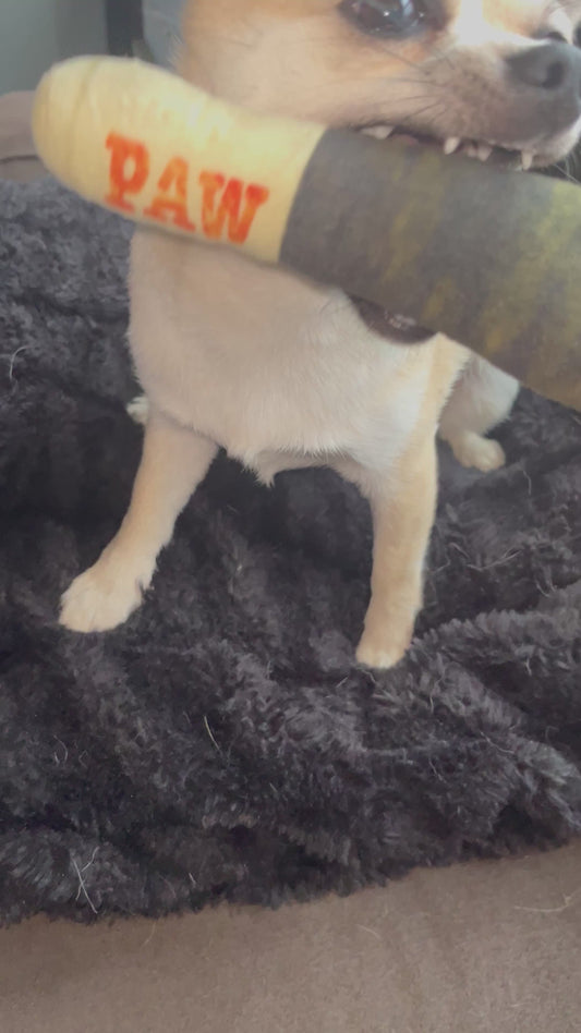 Pawrgy Paw Squeaky™