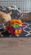 Pawrgy Sniff & Seek Ball™