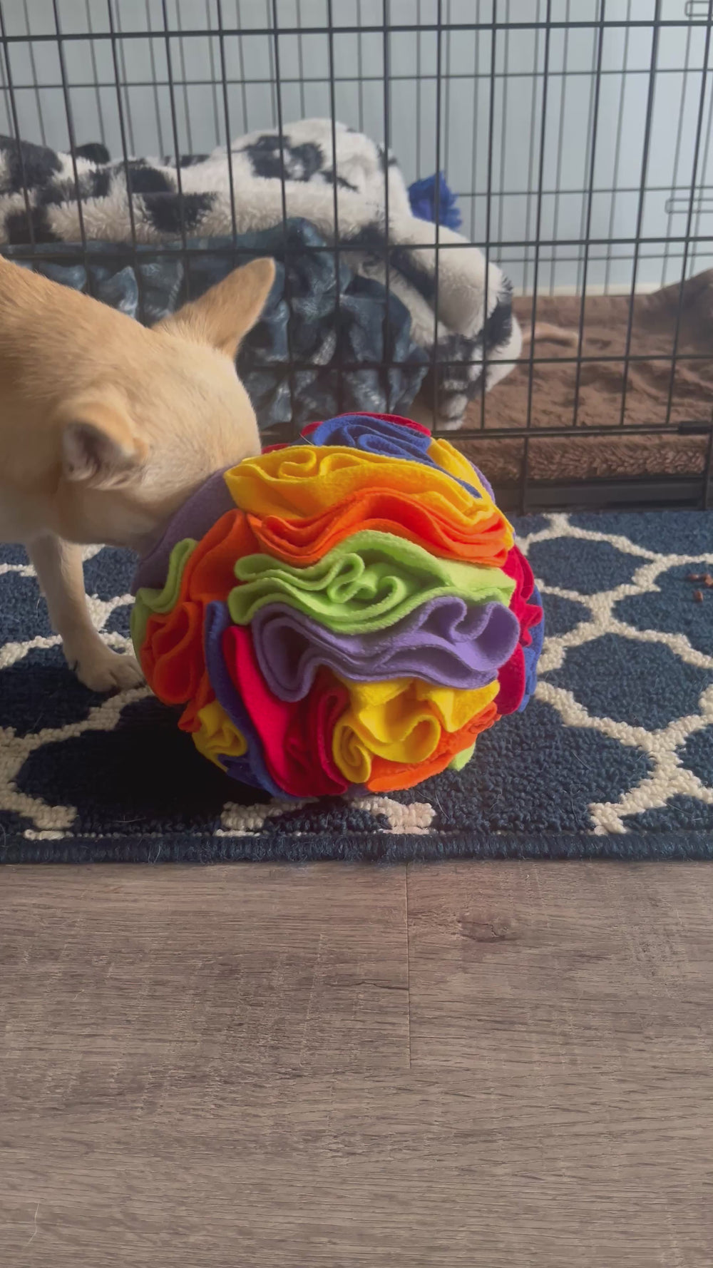 Pawrgy Sniff & Seek Ball™