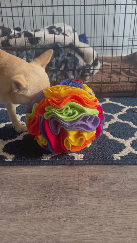 Pawrgy Sniff & Seek Ball™