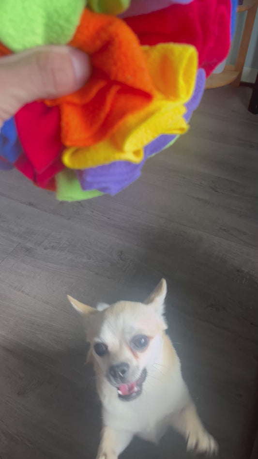 Pawrgy Sniff & Seek Ball™